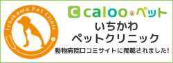 calooペット　いちかわペットクリニック